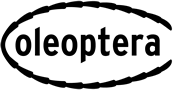 Logo coleoptera.ch